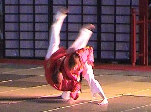 'Power of Martial Arts' am 21.12.2003